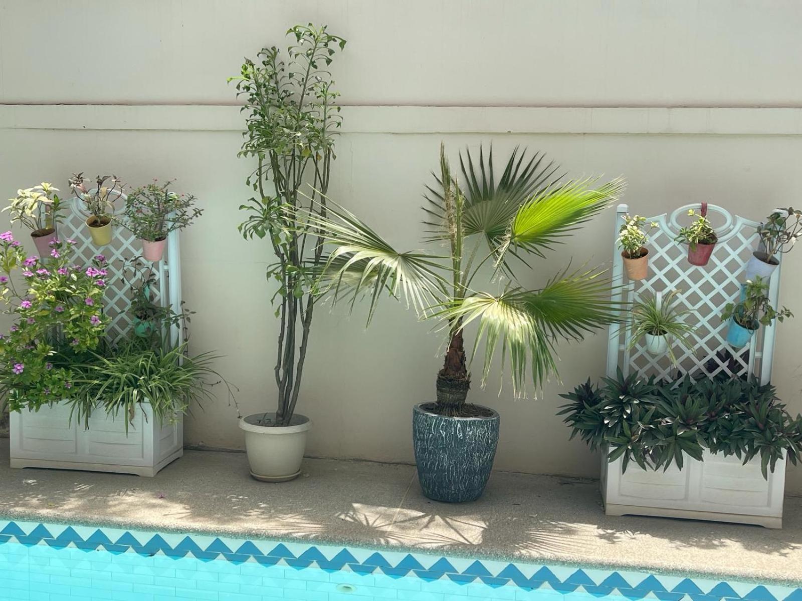 Villa Ngore Saly Luaran gambar